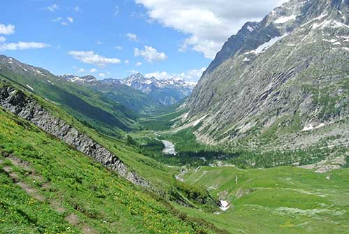 �t�F���J�������낷