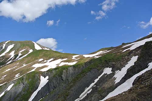 ��t�F���������グ��