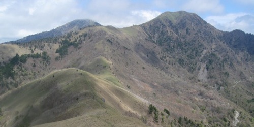 �ې΂��猩���i�F