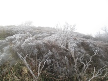 �R���c�c�W