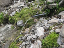 �W���E�M���E��������