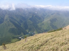 �����_��